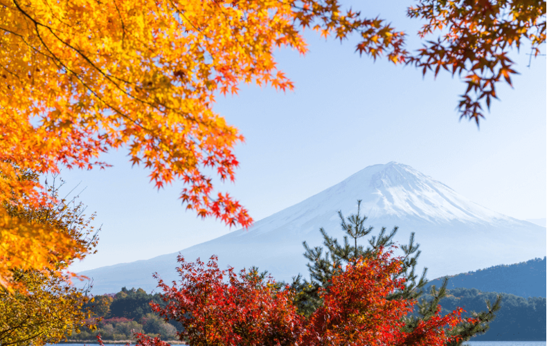 Du lịch mùa thu Nhật Bản 6 ngày 5 đêm từ Đà Nẵng