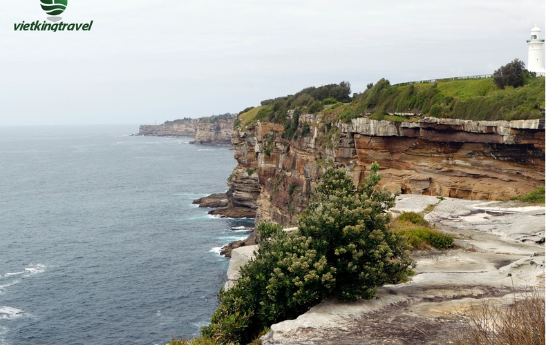 Du lịch Úc 7N6Đ: Khám Phá Xứ Sở Chuột Túi