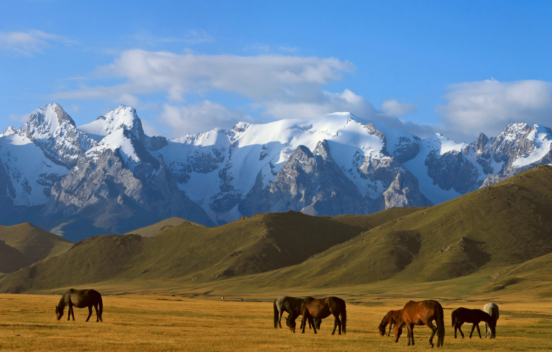 Du lịch Trung Á (Kyrgyzstan, Kazakhstan) 9N8Đ từ Hà Nội