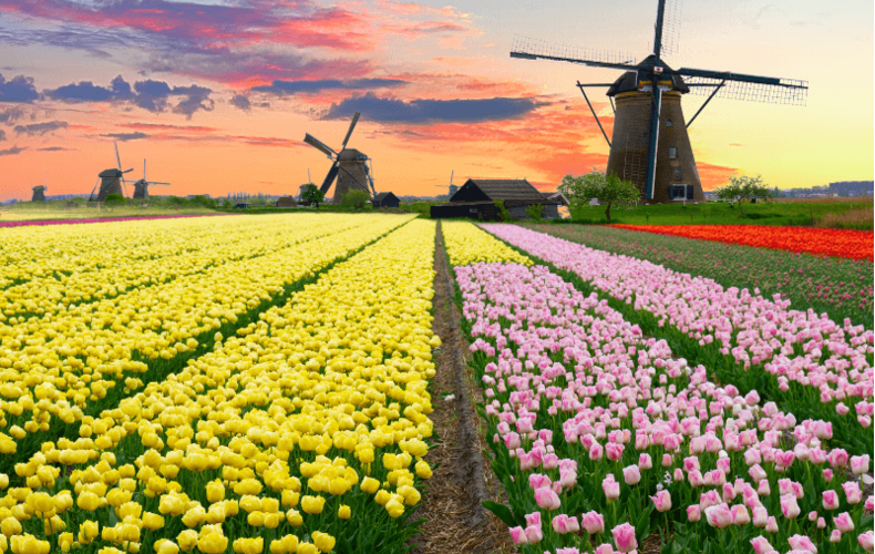 TOUR CHÂU ÂU 9N8Đ: ĐỨC – LUXEMBOURG – PHÁP – BỈ – HÀ LAN