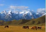 Du lịch Trung Á (Kyrgyzstan, Kazakhstan) 9N8Đ từ Hà Nội