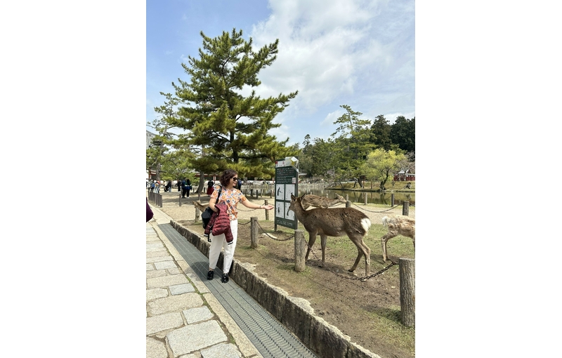 Nhật Bản Cung Đường Vàng 6 ngày 5 đêm từ Hà Nội Bay Vietjet Air