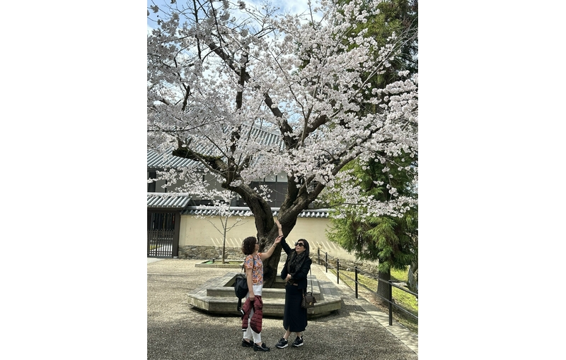 Nhật Bản Cung Đường Vàng 6 ngày 5 đêm từ Hà Nội Bay Vietjet Air