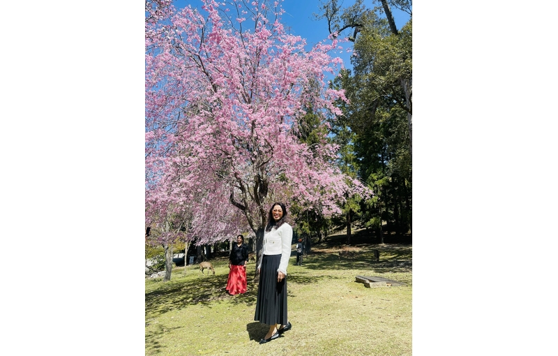 Nhật Bản Cung Đường Vàng 6 ngày 5 đêm từ Hà Nội Bay Vietnam Airlines