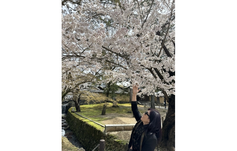 Nhật Bản Cung Đường Vàng 6 ngày 5 đêm từ Hà Nội Bay Vietjet Air