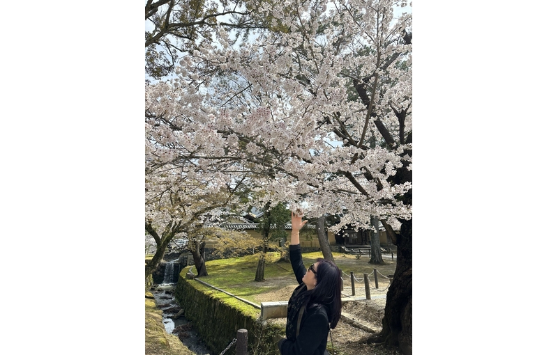 Nhật Bản Cung Đường Vàng 6 ngày 5 đêm từ Hà Nội Bay Vietnam Airlines