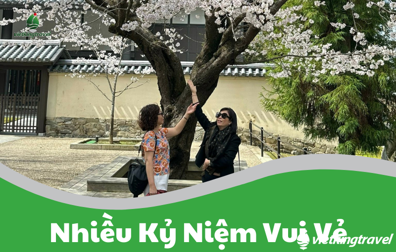 Mùa xuân hoa anh đào Osaka – Kyoto – Nagoya – Núi Phú Sĩ – Tokyo 6N5Đ