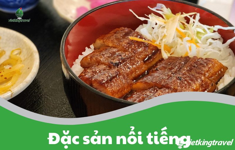 Mùa xuân hoa anh đào Osaka – Kyoto – Nagoya – Núi Phú Sĩ – Tokyo 6N5Đ