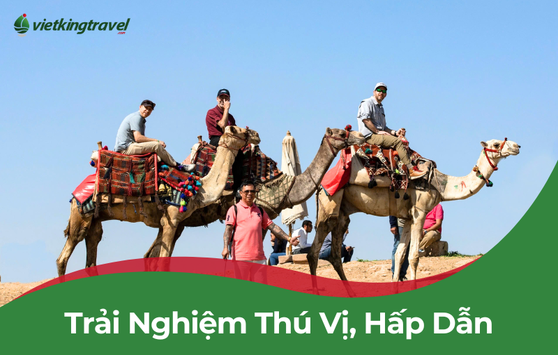 Du lịch Ai Cập 12 Ngày 11 Đêm (Dịch Vụ 5 Sao) – Từ TP.Hồ Chí Minh ⭐⭐⭐⭐⭐