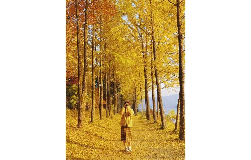 Tour Mùa Thu Hàn Quốc 2025: Busan – Seoul – Nami