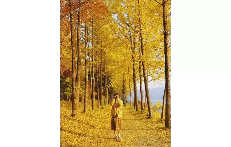 Tour Mùa Thu Hàn Quốc 2025: Busan – Seoul – Nami