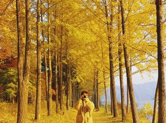 Tour Mùa Thu Hàn Quốc 2025: Busan – Seoul – Nami