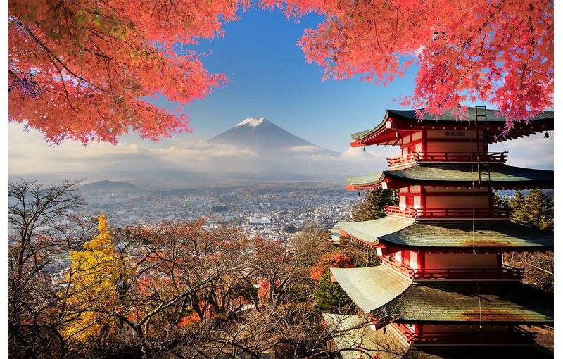Tour Mùa Thu Nhật Bản 2025: Tokyo – Phú Sĩ – Kyoto – Osaka