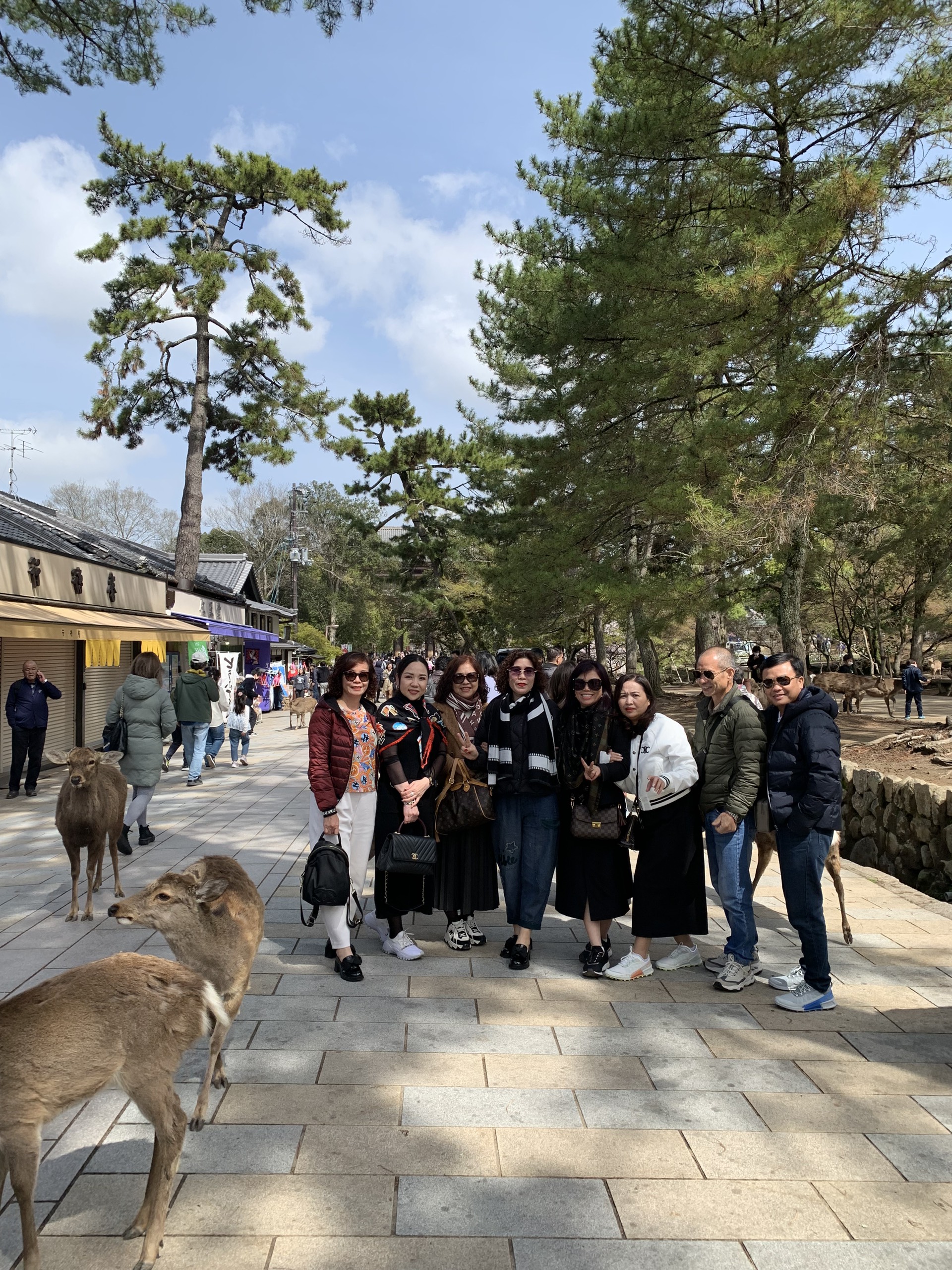 khách hàng vietkingtravel chụp ảnh tại công viên Nara
