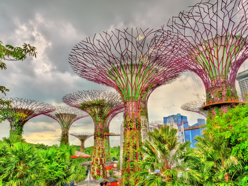 Gardens By The Bay